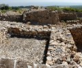 3000 Year Old Wheat Traces Said to Support Biblical Account of Israelite Conquest