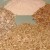 Gluten Intolerance