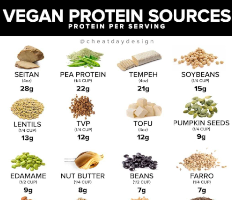 Top Sources of Vegan Protein - Shalom Adventure Magazine