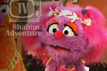 Shalom Sesame Shavuot