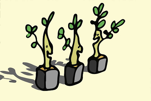 Cartoon-style drawing of tree seedlings smiling and celebrating Tu BeShvat (the Jewish New Year of the Trees).